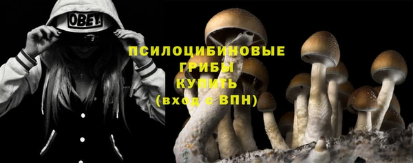 прущая мука Вязники