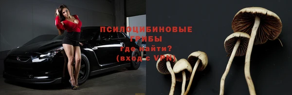 прущая мука Вязники