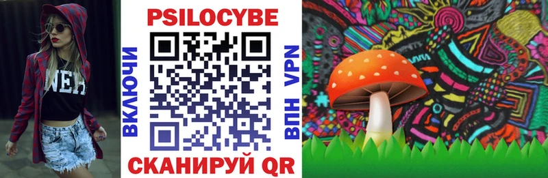 магазин продажи   блэк спрут зеркало  Псилоцибиновые грибы MAGIC MUSHROOMS  Лениногорск 